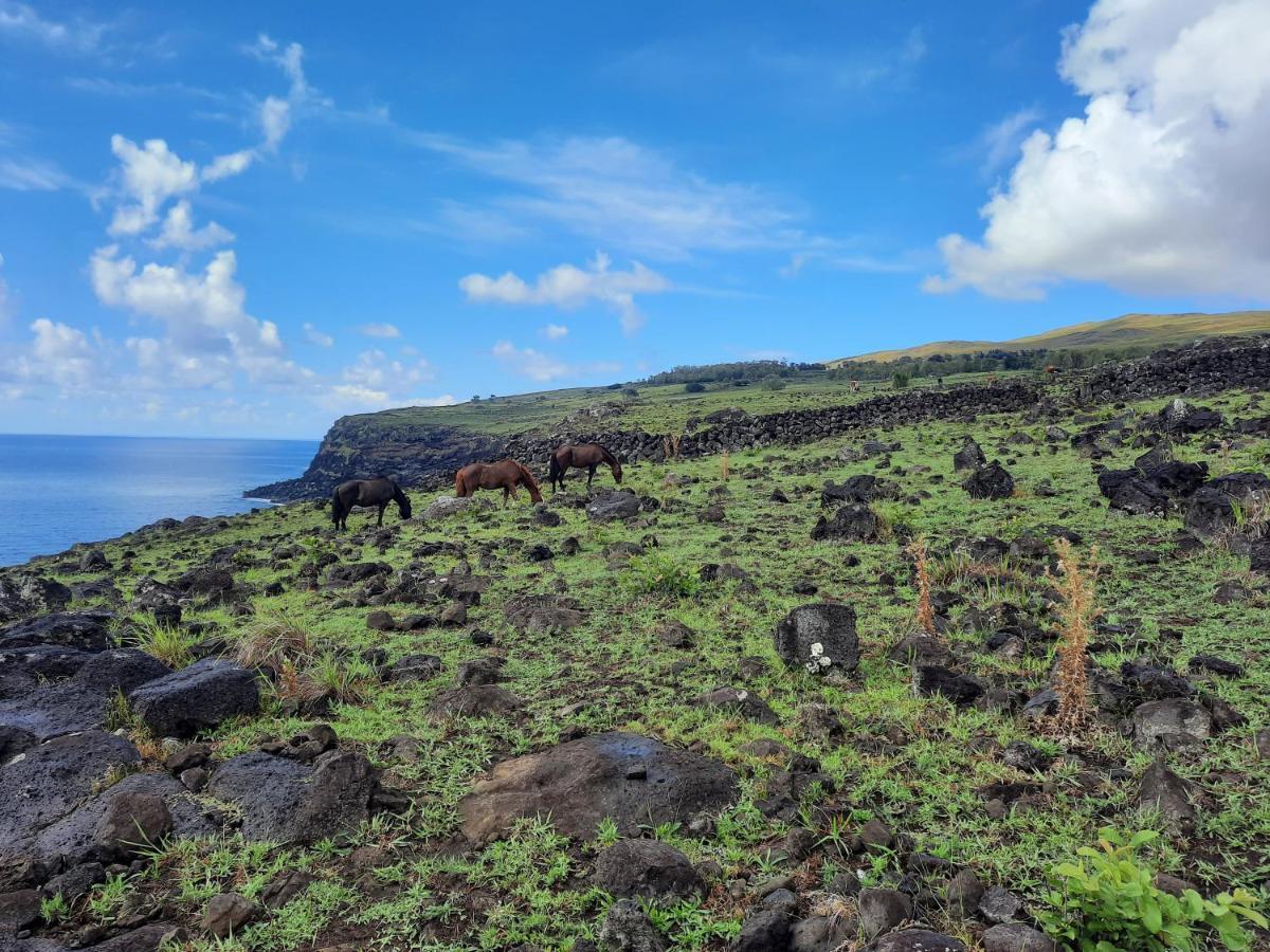 Moehiva Rapa Nui Campsite Hanga Roa