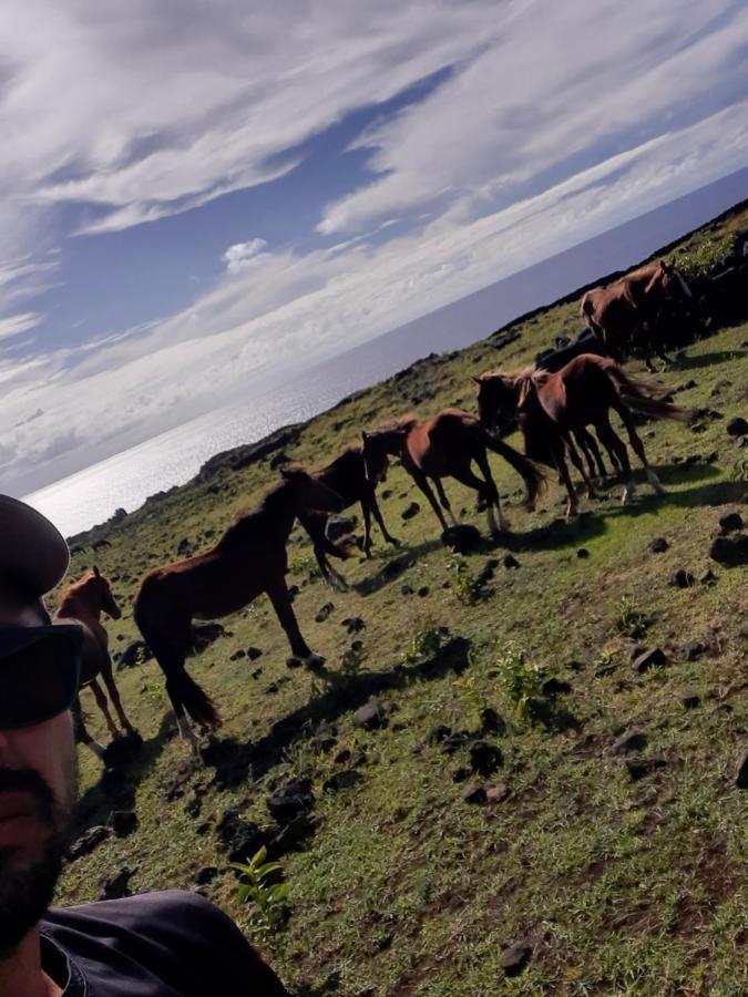 Campsite Moehiva Rapa Nui Hanga Roa