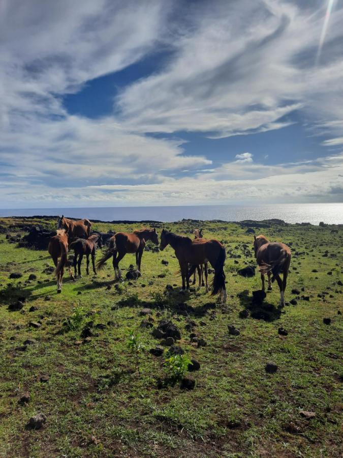 Moehiva Rapa Nui Campsite *