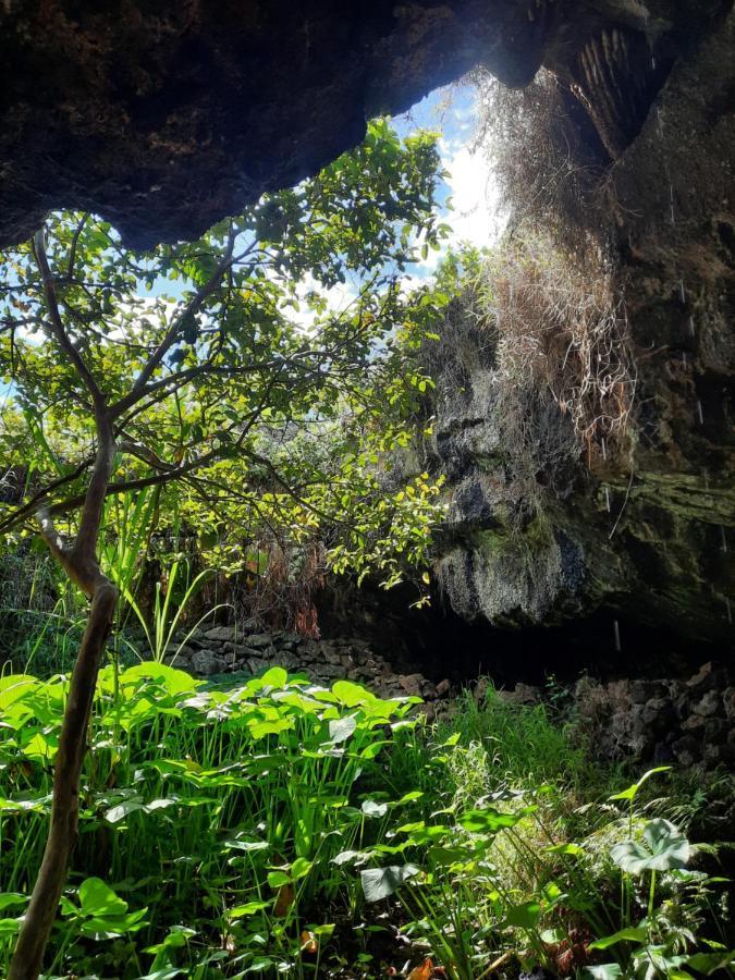 Moehiva Rapa Nui * Hanga Roa