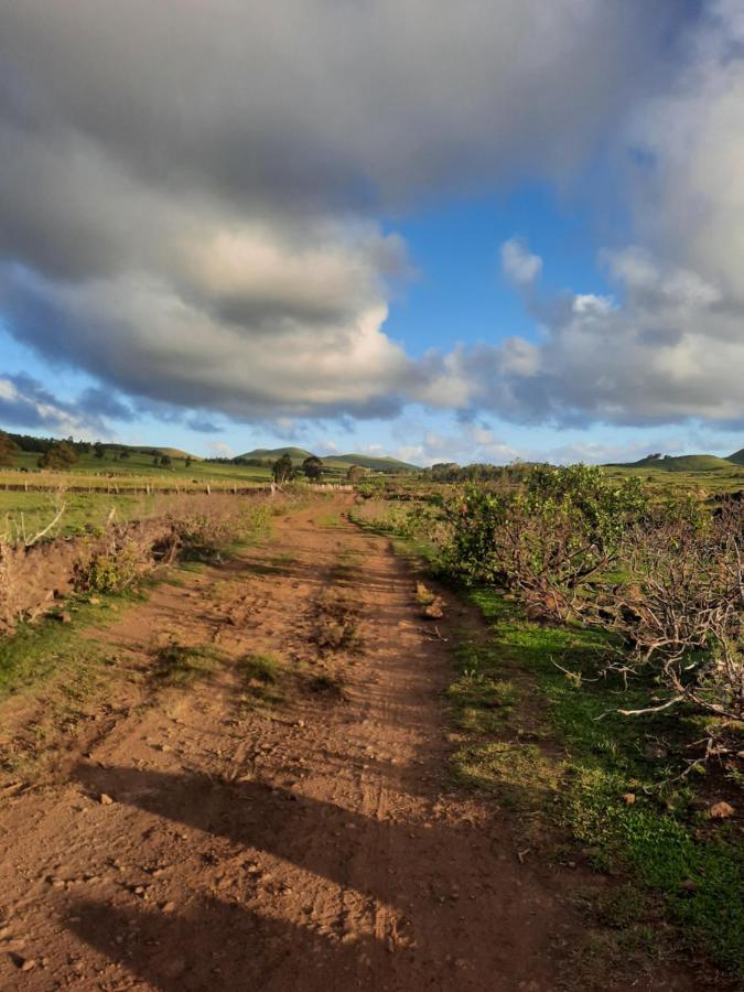 Moehiva Rapa Nui Camping *