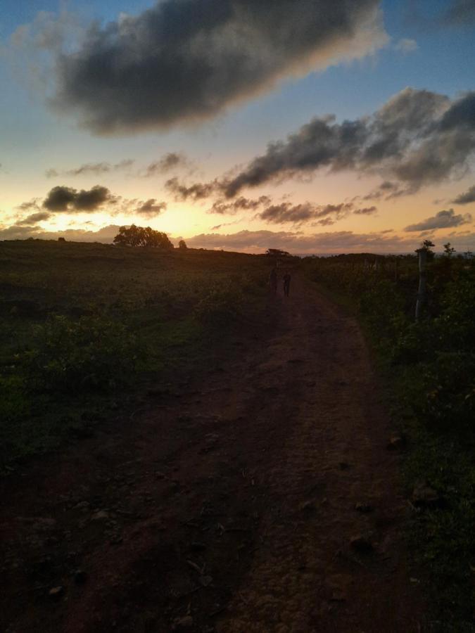 Camping Moehiva Rapa Nui *